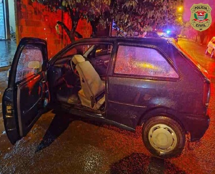 carrossel birigui.jpeg