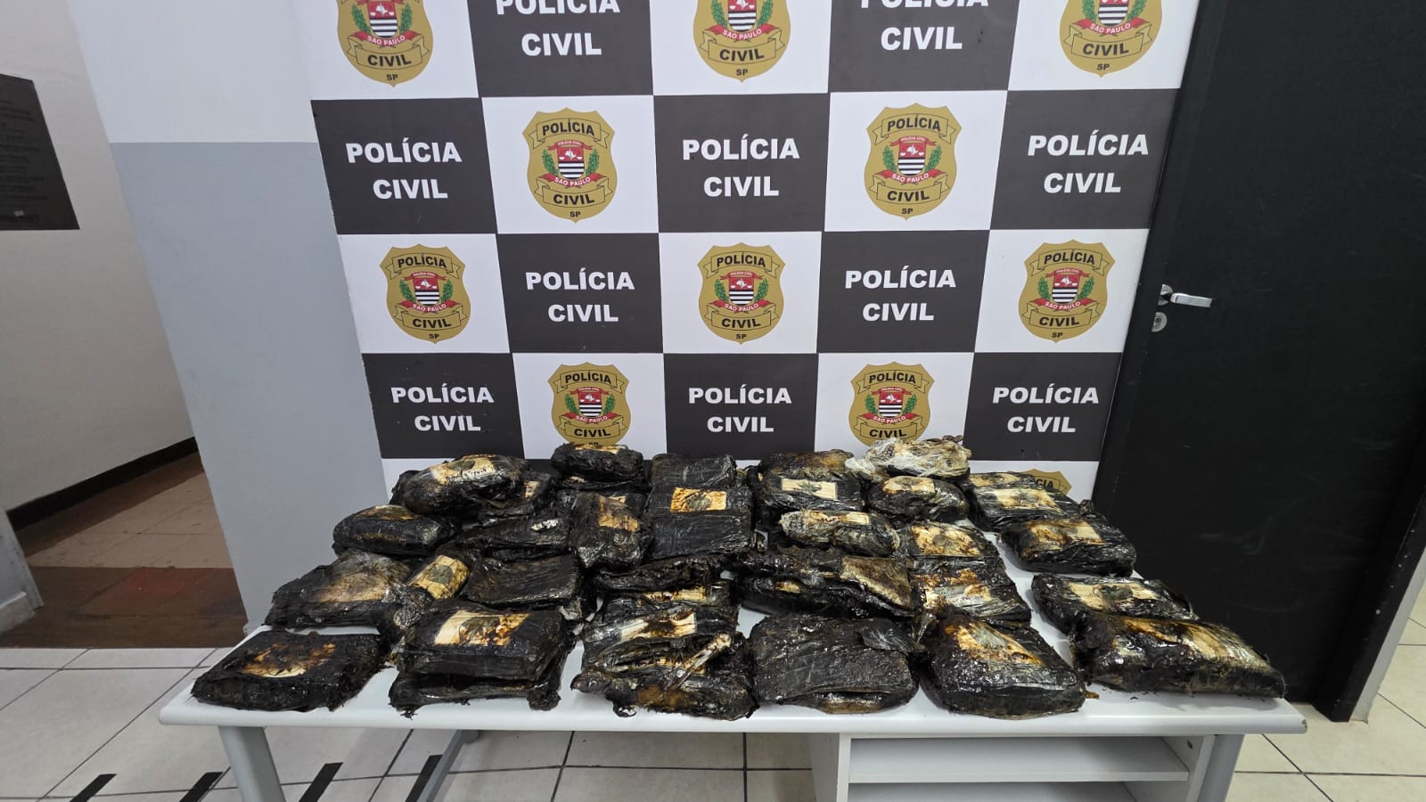 WhatsApp Image 2025-12-03 at 11.23.17.jpeg