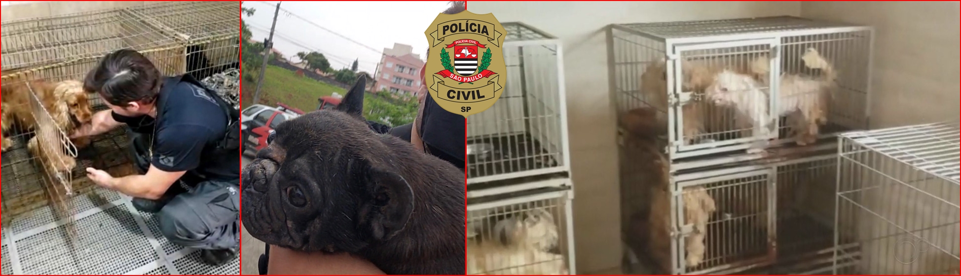 Imagem