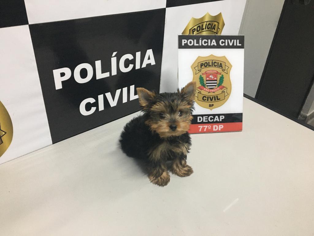 Imagem