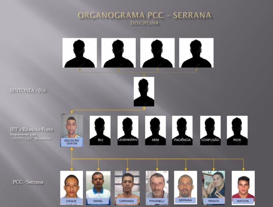 organograma facção